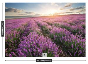 Fototapeta Vliesová Levanduľa lúka 152x104 cm