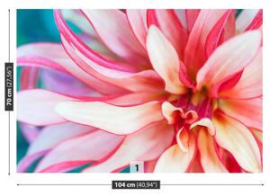 Fototapeta Vliesová Exotická kvetina 104x70 cm