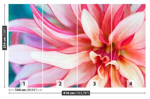 Fototapeta Vliesová Exotická kvetina 416x254 cm