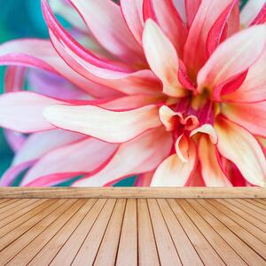 Fototapeta Vliesová Exotická kvetina 416x254 cm