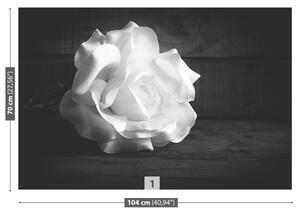 Fototapeta Vliesová Biela ruža 104x70 cm