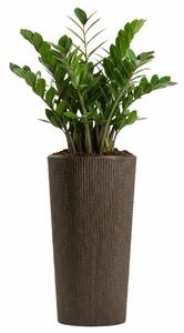 PLASTOVÝ KVETINÁČ URBANIKA ECO 36,5X19,5 CM TMAVOHNEDÁ