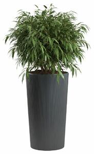PLASTOVÝ KVETINÁČ URBANIKA ECO 75X41 CM ANTRACITOVÁ