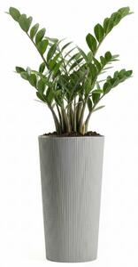 PLASTOVÝ KVETINÁČ URBANIKA ECO 36,5X19,5 CM SIVÁ