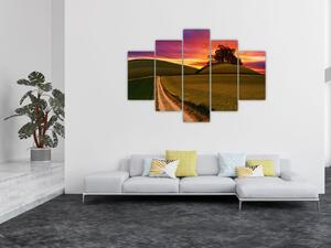 Obraz poľa a farebného neba (150x105 cm)