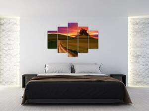 Obraz poľa a farebného neba (150x105 cm)