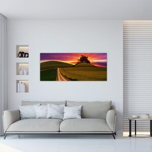 Obraz poľa a farebného neba (120x50 cm)