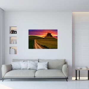 Obraz poľa a farebného neba (90x60 cm)