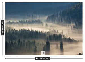 Fototapeta Vliesová Lesné hory 152x104 cm