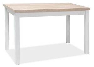 Jednoduchý jedálenský stôl 100, dub sonoma/biely mat (n147099)