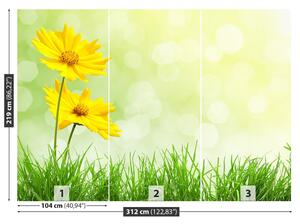 Fototapeta Vliesová Žlté kvety 312x219 cm