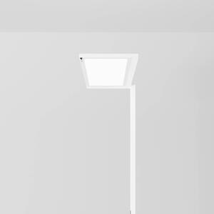 Regent Lighting Lightpad LED snímač 1p vľavo biely