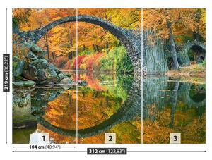 Fototapeta Vliesová Oblúkový most 312x219 cm