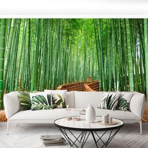 Fototapeta Vliesová Bambusové lesy 312x219 cm