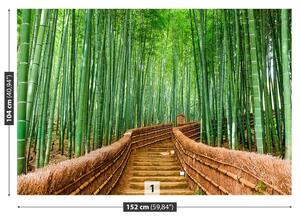 Fototapeta Vliesová Bambusové lesy 152x104 cm