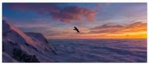 Obraz pri západe slnka, Mt. blanc (120x50 cm)