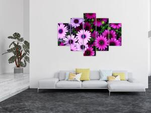 Obraz - Kvety (150x105 cm)