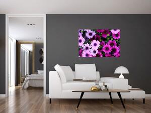 Obraz - Kvety (90x60 cm)