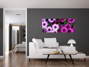 Obraz - Kvety (120x50 cm)