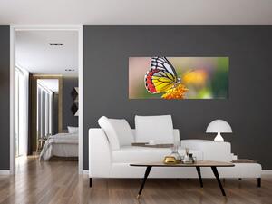 Obraz motýľa na kvete (120x50 cm)