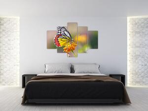 Obraz motýľa na kvete (150x105 cm)