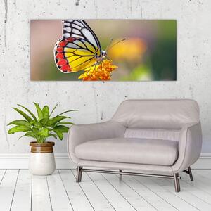 Obraz motýľa na kvete (120x50 cm)