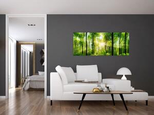 Obraz - Svitanie v lese (120x50 cm)
