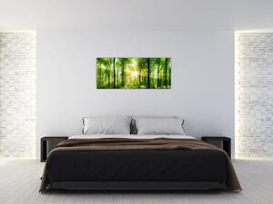 Obraz - Svitanie v lese (120x50 cm)