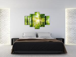 Obraz - Svitanie v lese (150x105 cm)