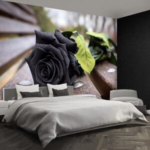 Fototapeta Vliesová Čierna ruža 152x104 cm