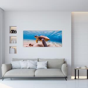 Obraz korytnačky v oceáne (120x50 cm)