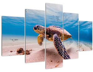 Obraz korytnačky v oceáne (150x105 cm)