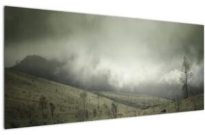 Obraz krajiny pred búrku (120x50 cm)