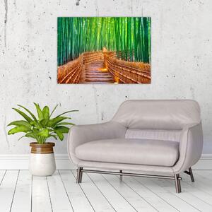 Sklenený obraz - Japonský bambusový les (70x50 cm)