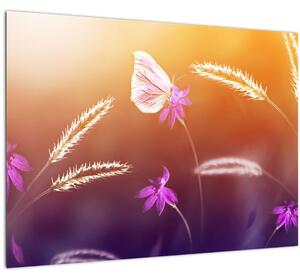 Sklenený obraz - Ružový motýľ (70x50 cm)