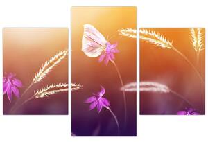 Obraz - Ružový motýľ (90x60 cm)