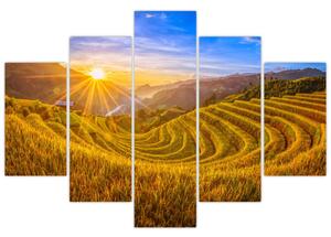 Obraz - Ryžové terasy vo Vietname (150x105 cm)