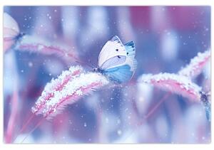 Obraz - Motýle v zime (90x60 cm)