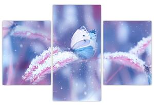 Obraz - Motýle v zime (90x60 cm)