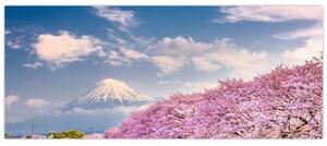 Obraz - Japonská jarná krajina (120x50 cm)