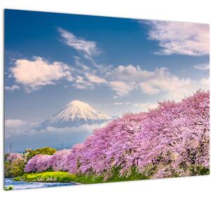 Obraz - Japonská jarná krajina (70x50 cm)