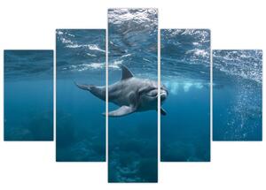 Obraz - Delfín pod hladinou (150x105 cm)