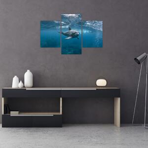Obraz - Delfín pod hladinou (90x60 cm)