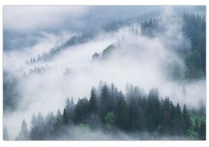 Obraz - Stromy v hmle (90x60 cm)