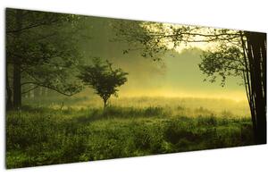 Obraz - Prebúdzajúci sa les (120x50 cm)