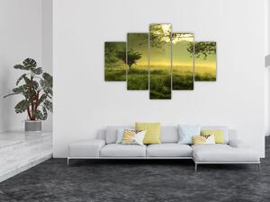 Obraz - Prebúdzajúci sa les (150x105 cm)