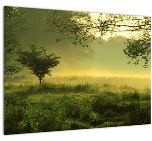 Obraz - Prebúdzajúci sa les (70x50 cm)