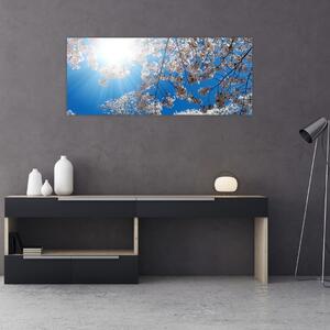 Obraz - Čerešňové kvety (120x50 cm)