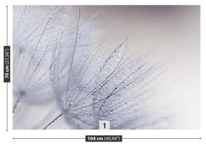 Fototapeta Vliesová Púpava semená 104x70 cm