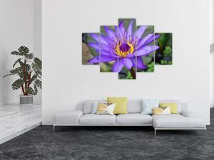 Obraz - Fialová kvetina (150x105 cm)